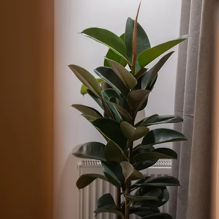 37 2 Heaven Διαμέρισμα