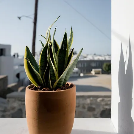 Διαμέρισμα 37 2 Heaven