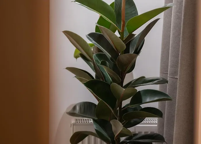 37 2 Heaven Appartement