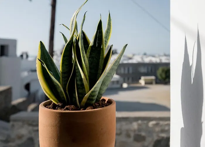 Apartment 37 2 Heaven